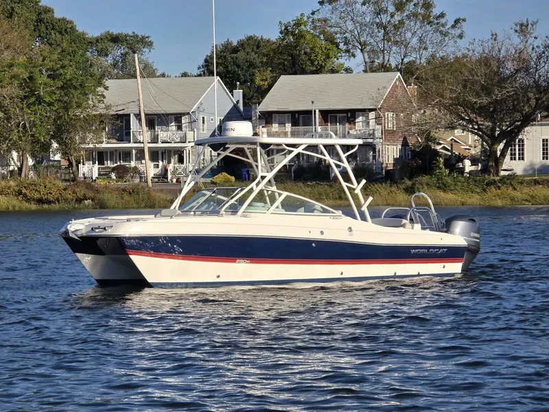 Slide: The Image of World Cat 23 2024 - 5781685