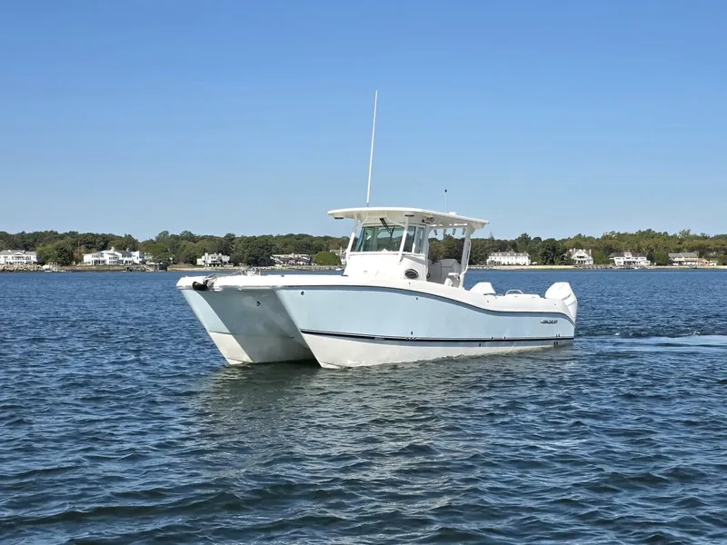 The Image of World Cat 32 2024 - 5781530