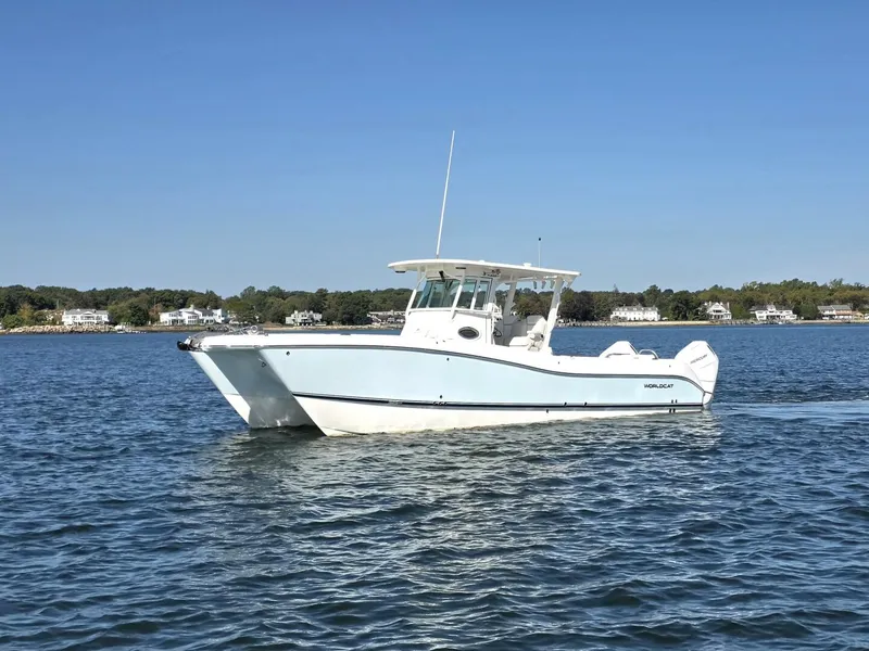 Slide: The Image of World Cat 32 2024 - 5781531