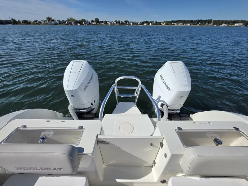 Slide: The Image of World Cat 32 2024 - 5781540