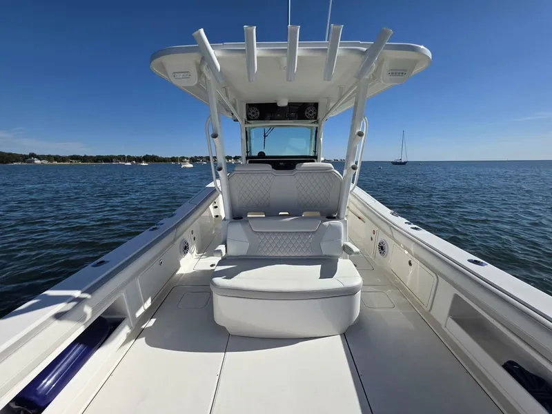 Slide: The Image of World Cat 32 2024 - 5781541