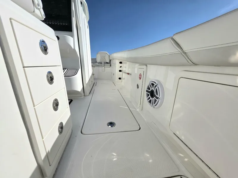 Slide: The Image of World Cat 32 2024 - 5781542