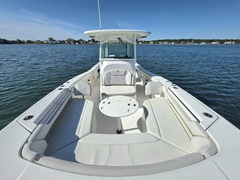 Slide: The Image of World Cat 32 2024 - 5781546