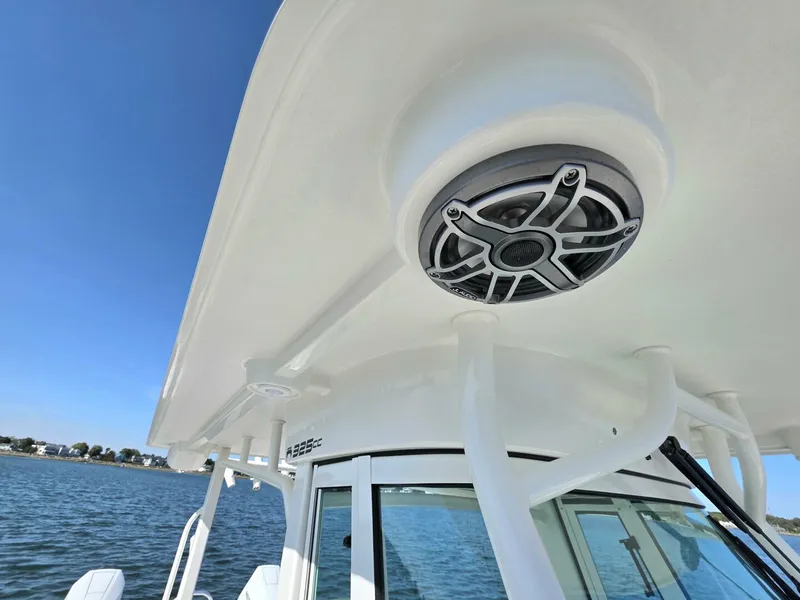 Slide: The Image of World Cat 32 2024 - 5781547