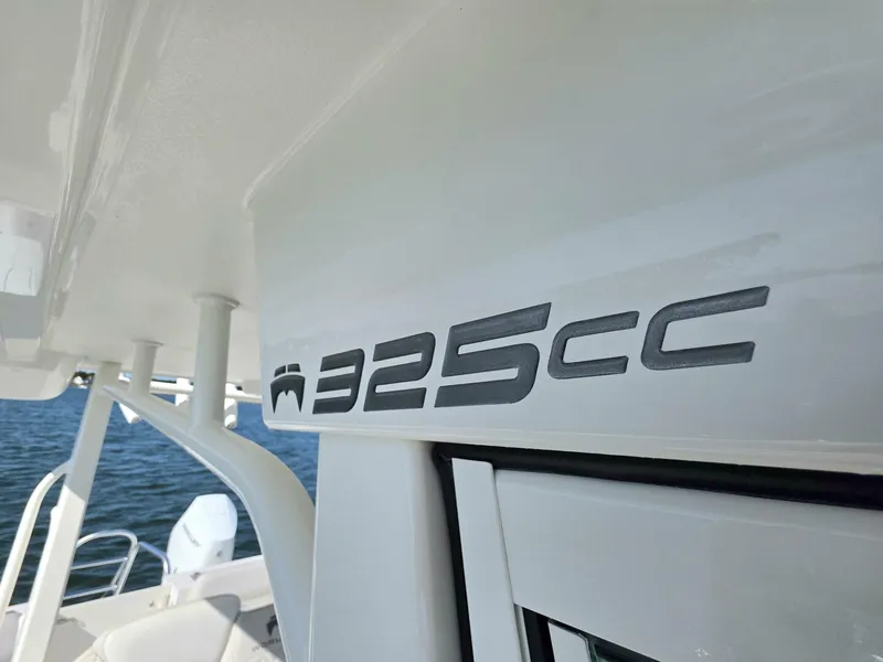 Slide: The Image of World Cat 32 2024 - 5781549