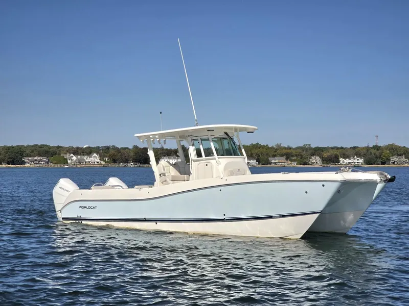 Slide: The Image of World Cat 32 2024 - 5781533