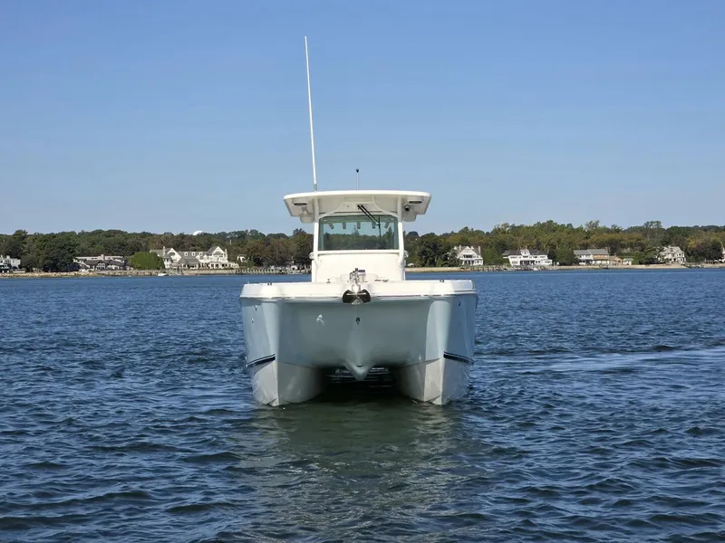 Slide: The Image of World Cat 32 2024 - 5781534