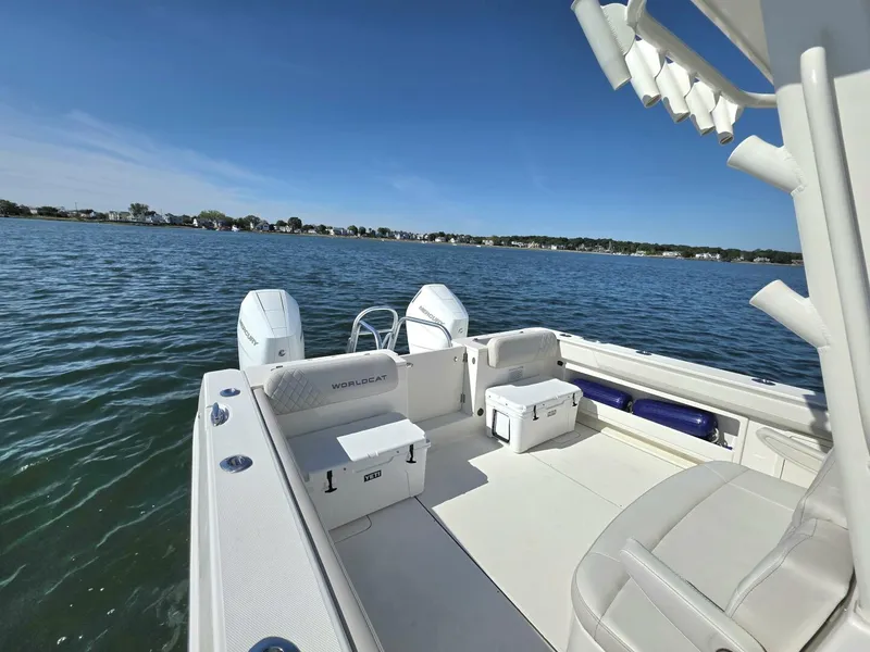 Slide: The Image of World Cat 32 2024 - 5781538