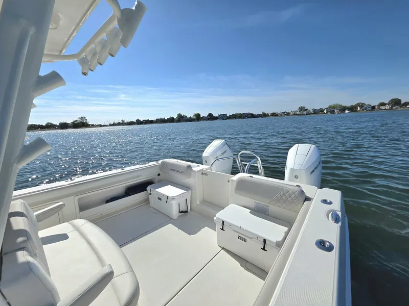 Slide: The Image of World Cat 32 2024 - 5781539