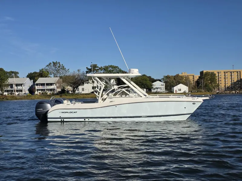 Slide: The Image of World Cat 25 2022 - 5781553