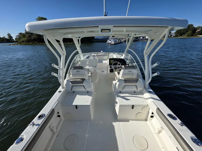 Slide: The Image of World Cat 25 2022 - 5781562