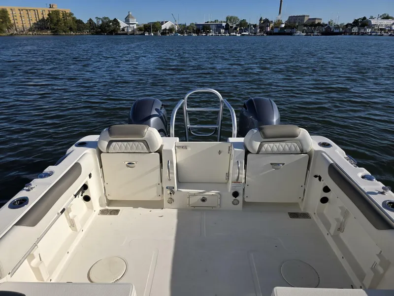 Slide: The Image of World Cat 25 2022 - 5781563