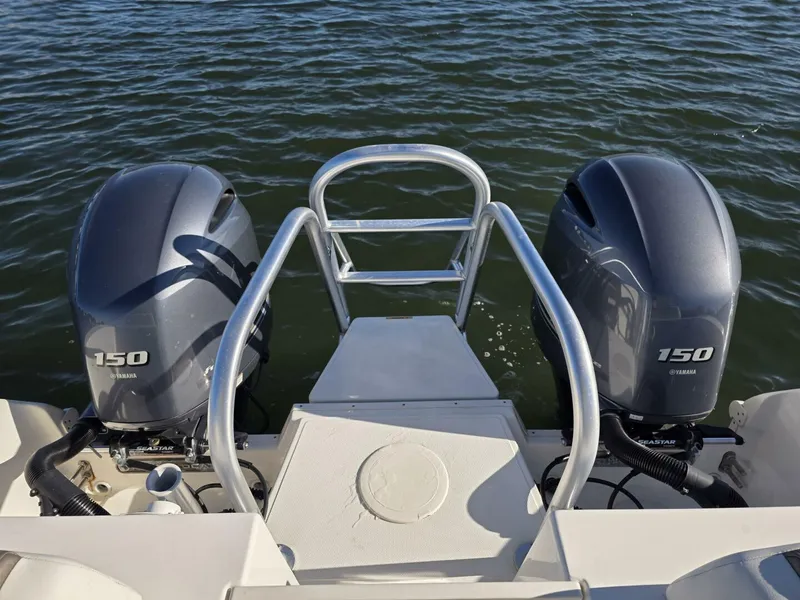 Slide: The Image of World Cat 25 2022 - 5781564