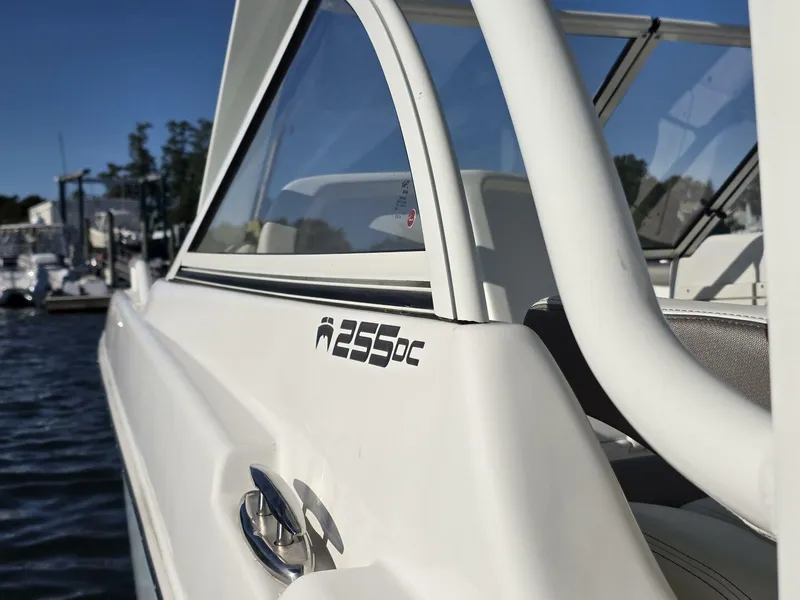 Slide: The Image of World Cat 25 2022 - 5781565