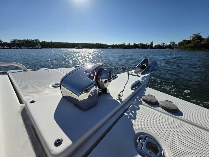 Slide: The Image of World Cat 25 2022 - 5781566