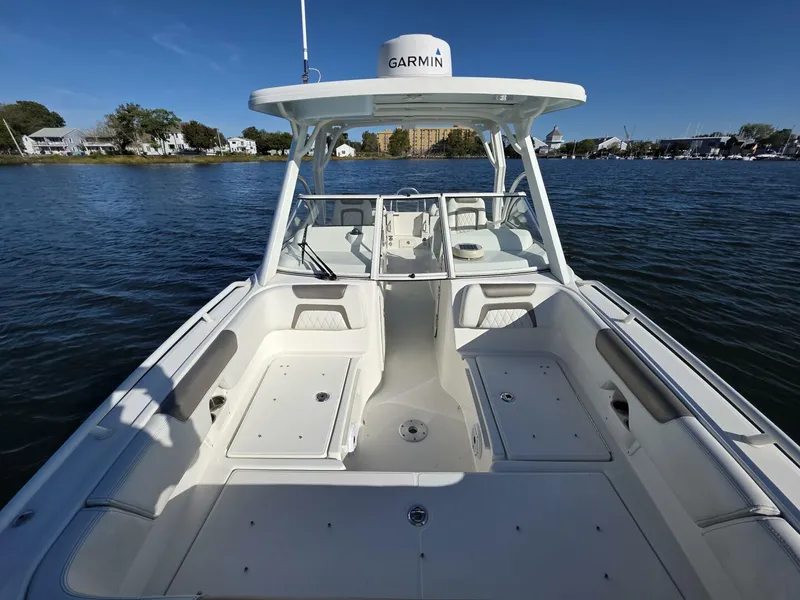 Slide: The Image of World Cat 25 2022 - 5781567