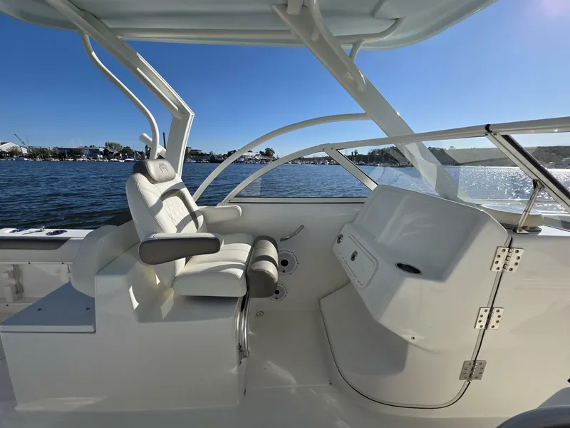 Slide: The Image of World Cat 25 2022 - 5781568