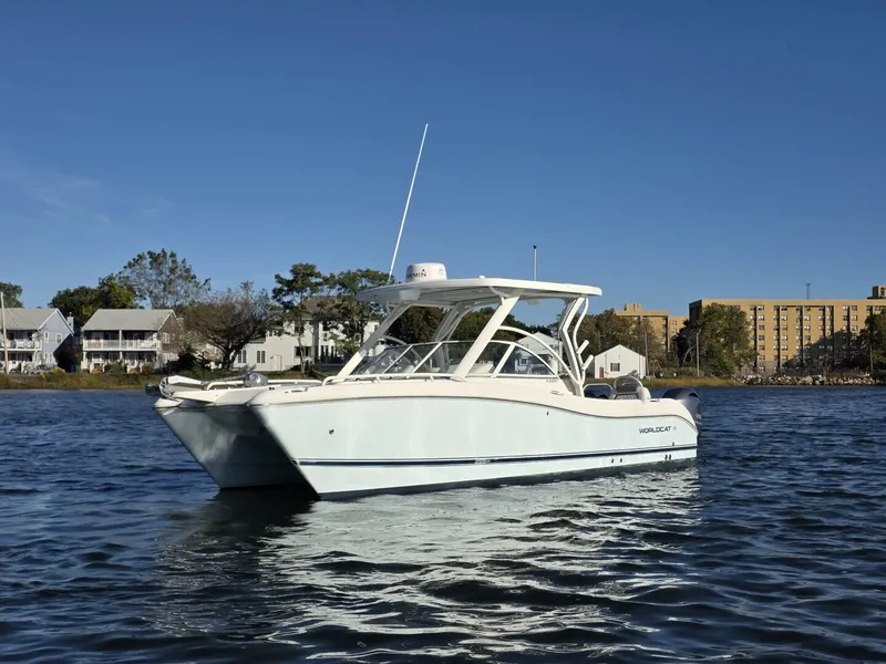 Slide: The Image of World Cat 25 2022 - 5781554