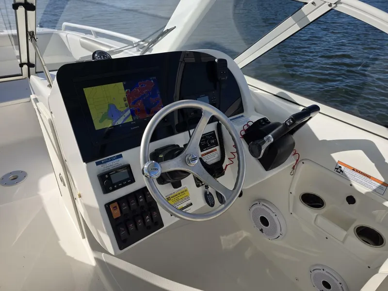 Slide: The Image of World Cat 25 2022 - 5781572