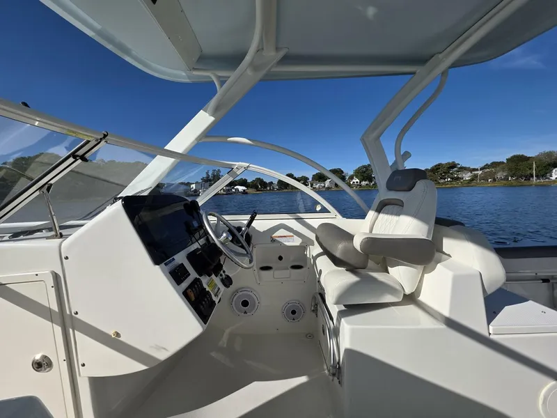 Slide: The Image of World Cat 25 2022 - 5781573