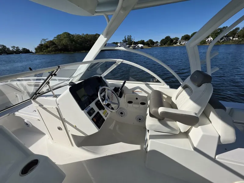 Slide: The Image of World Cat 25 2022 - 5781574