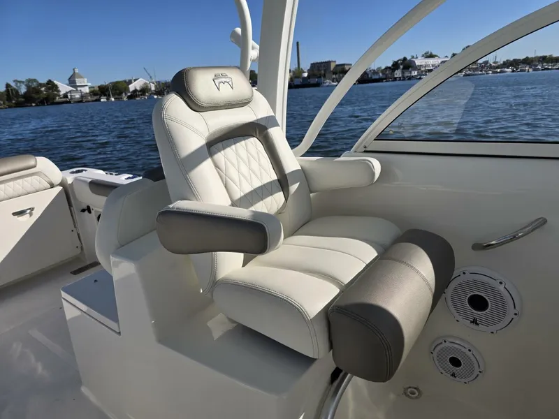 Slide: The Image of World Cat 25 2022 - 5781575