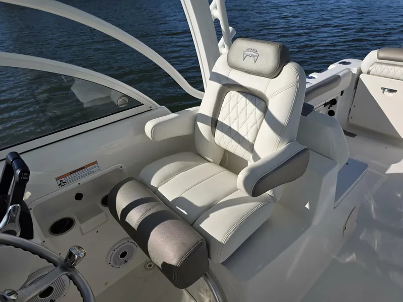 Slide: The Image of World Cat 25 2022 - 5781576