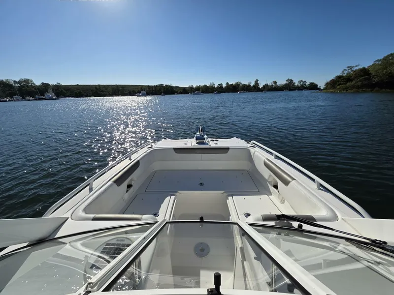 Slide: The Image of World Cat 25 2022 - 5781577