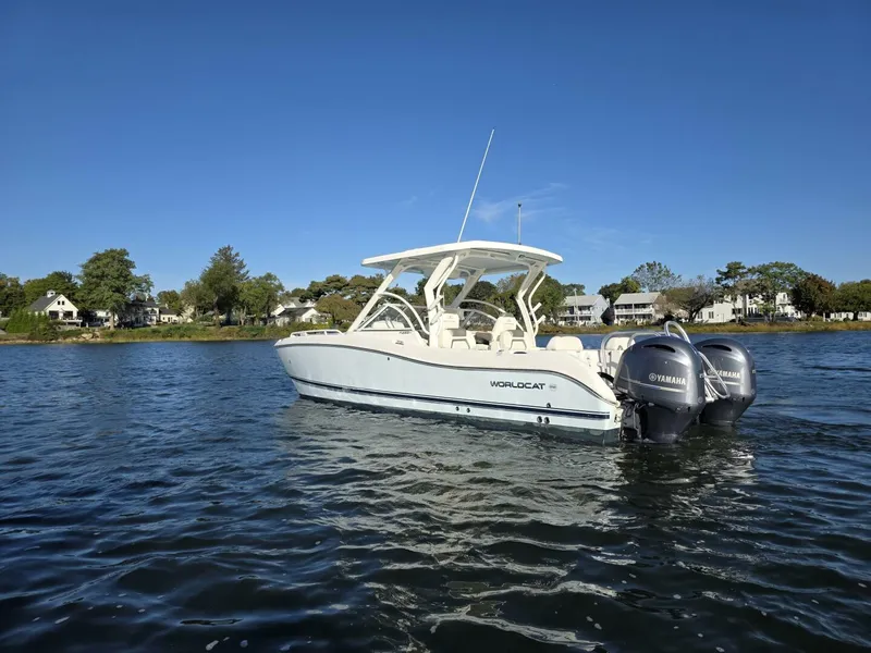 Slide: The Image of World Cat 25 2022 - 5781555