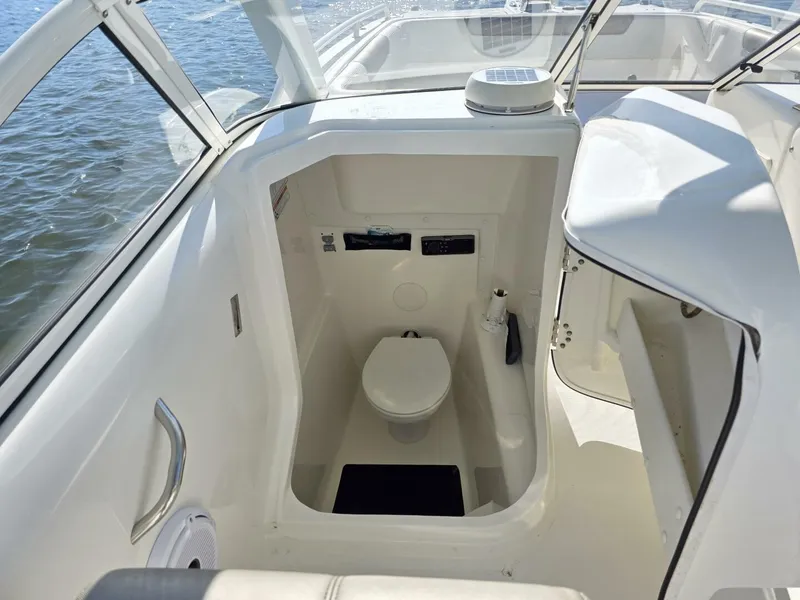 Slide: The Image of World Cat 25 2022 - 5781584