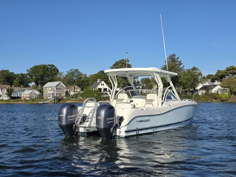 Slide: The Image of World Cat 25 2022 - 5781557