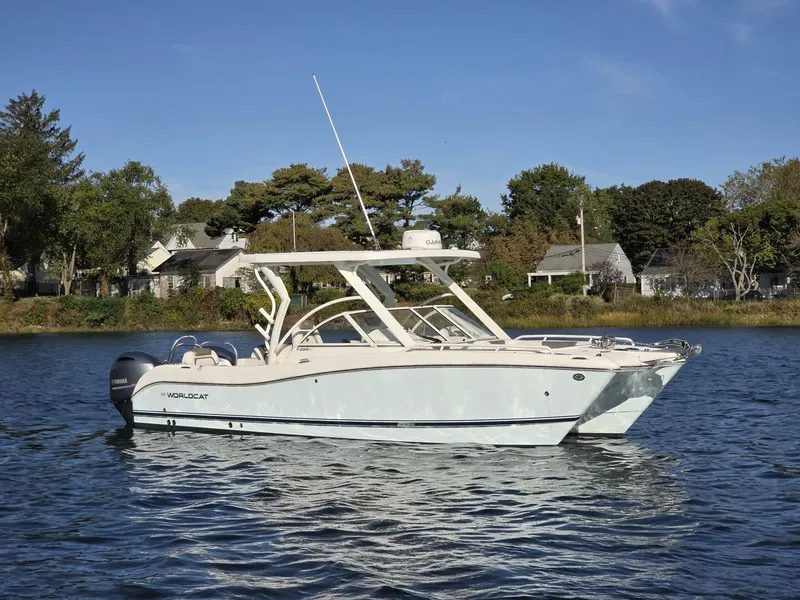 Slide: The Image of World Cat 25 2022 - 5781559