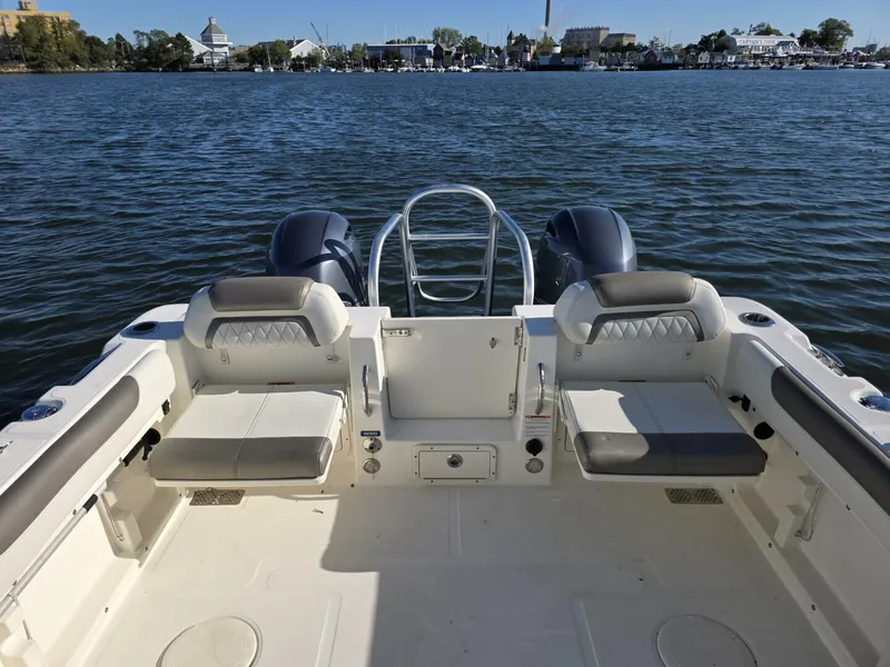 Slide: The Image of World Cat 25 2022 - 5781560