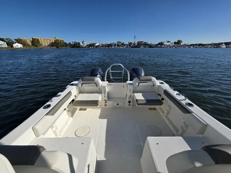 Slide: The Image of World Cat 25 2022 - 5781561