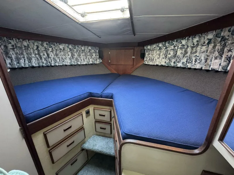 Slide: The Image of Bertram 38 Convertible 1979 - 5781509