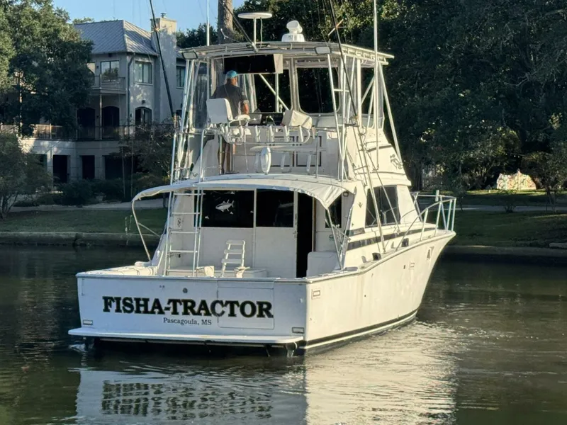 Slide: The Image of Bertram 38 Convertible 1979 - 5781482