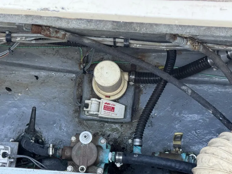 Slide: The Image of Bertram 38 Convertible 1979 - 5781521