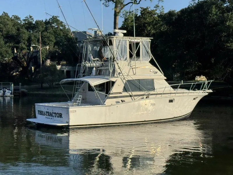 Slide: The Image of Bertram 38 Convertible 1979 - 5781484