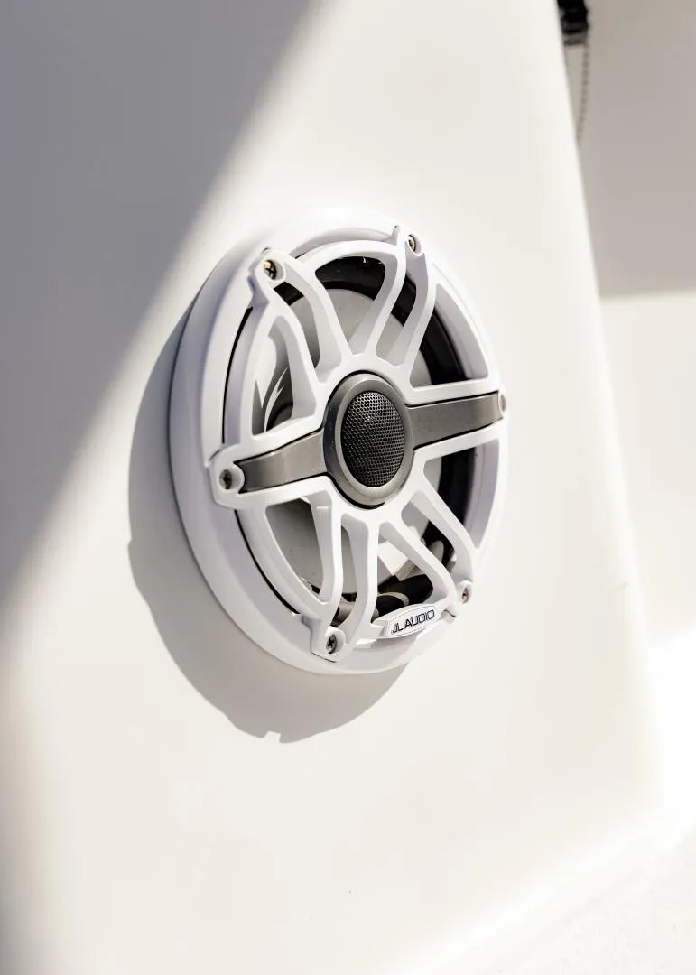 Slide: The Image of Conch 27CC 2022 - 5782191