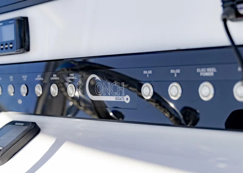 Slide: The Image of Conch 27CC 2022 - 5782208