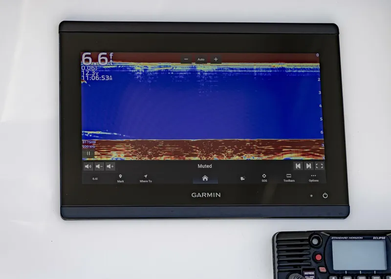 Slide: The Image of Conch 27CC 2022 - 5782213