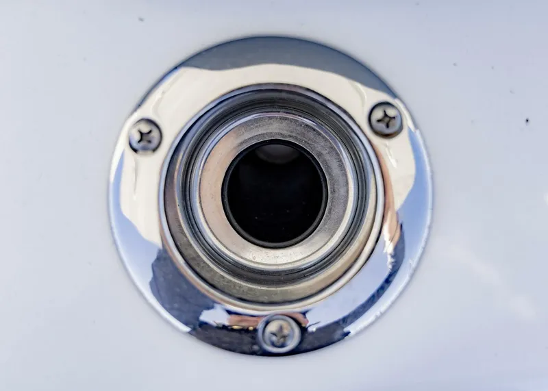 Slide: The Image of Conch 27CC 2022 - 5782217