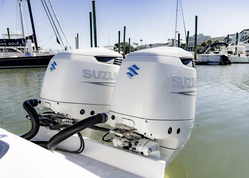 Slide: The Image of Conch 27CC 2022 - 5782239