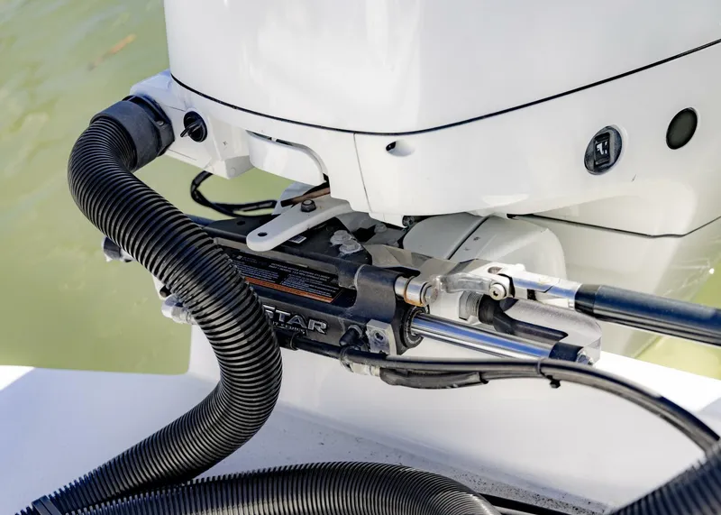 Slide: The Image of Conch 27CC 2022 - 5782240