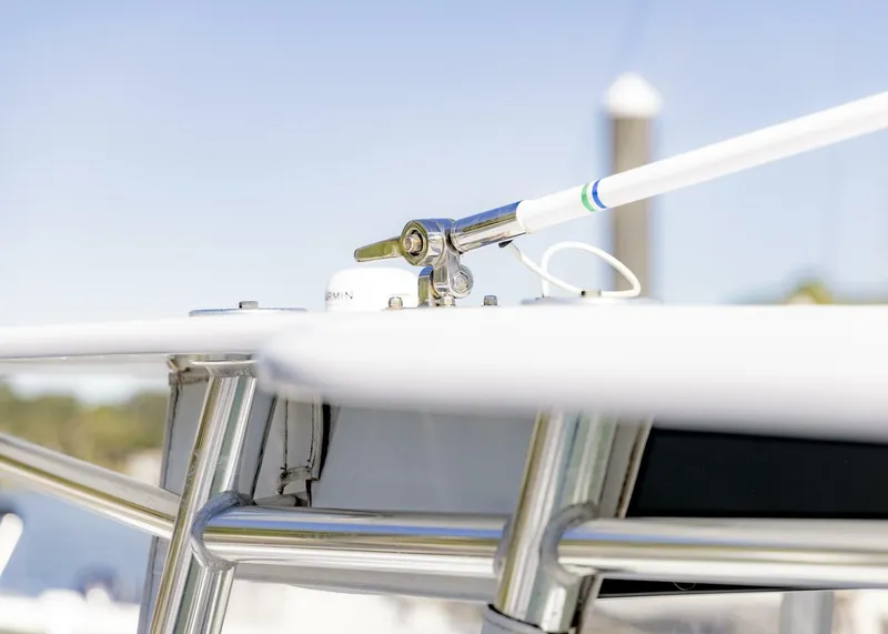 Slide: The Image of Conch 27CC 2022 - 5782245