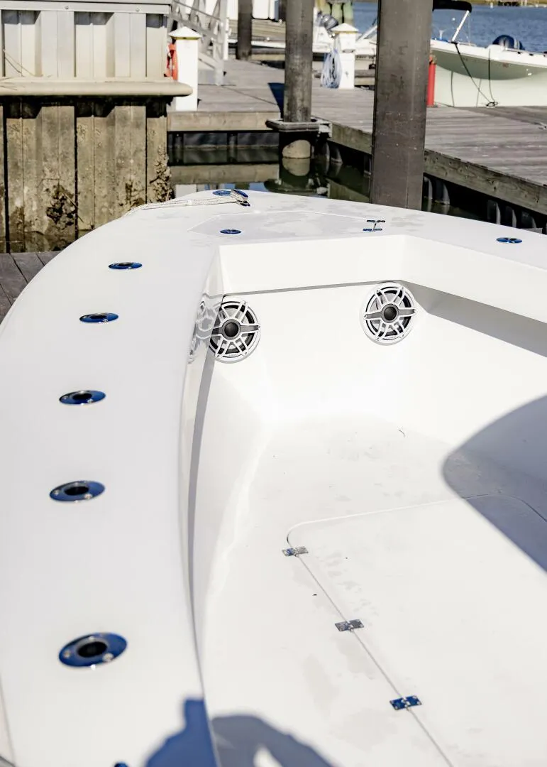 Slide: The Image of Conch 27CC 2022 - 5782248