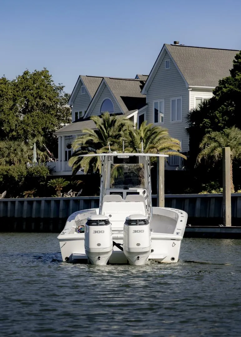 Slide: The Image of Conch 27CC 2022 - 5782176