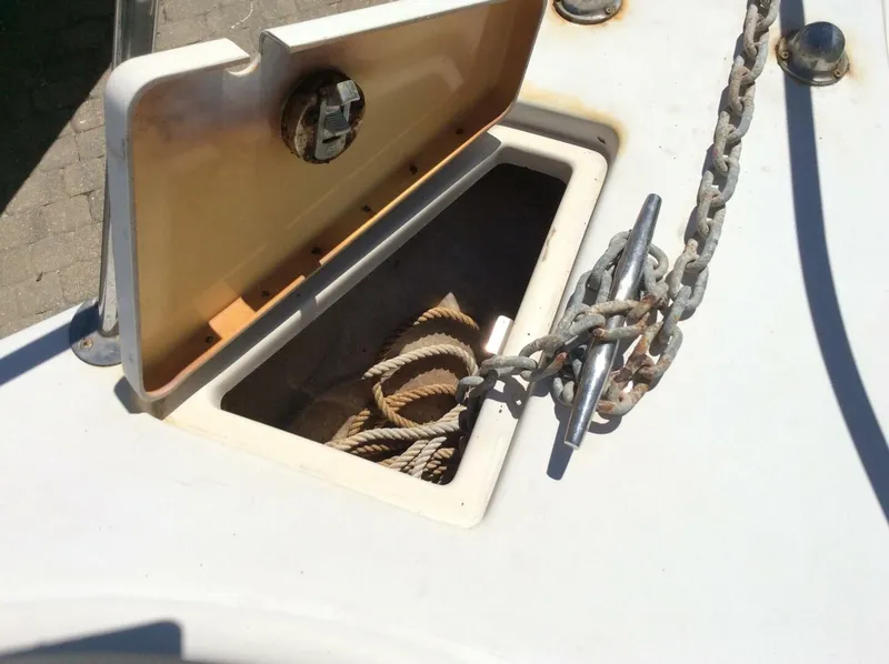 Slide: The Image of Seaswirl 21 2005 - 5791386