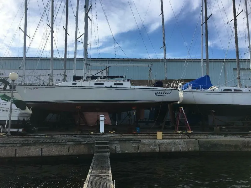 Slide: The Image of Tartan Thomas 1992 - 5782726