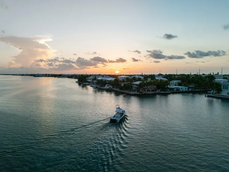 Slide: The Image of Front Runner 36 CC 2024 - 5783388